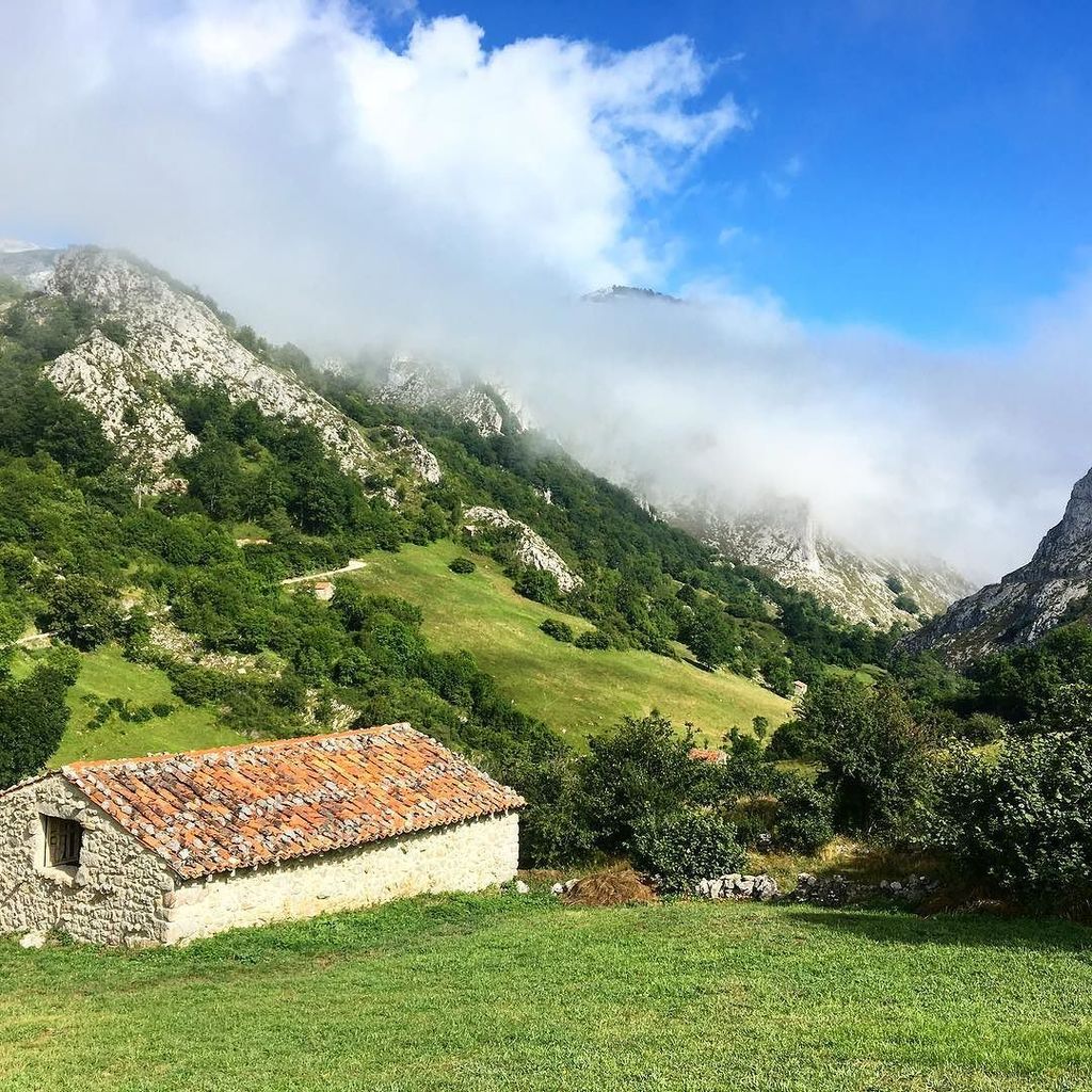 lexrodba's tweet photo. Gemma wandern #travel #wandern #gemma #aufgehts #hiking #fastwieinbayern #asturies #asturien #abandonedtown #likeg… https://t.co/Juuzg4ghEW https://t.co/uCCjK1s3Z2