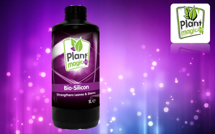 plantmagicplus's tweet photo. #ThursdayThoughts ๐ญ #PlantMagic's #BioSilicon builds stronger cell walls to strengthen leaves & stems.โจ๐ฑ
Read more:
https://t.co/uJMco4jLcZ https://t.co/X82Z3m0I8Z