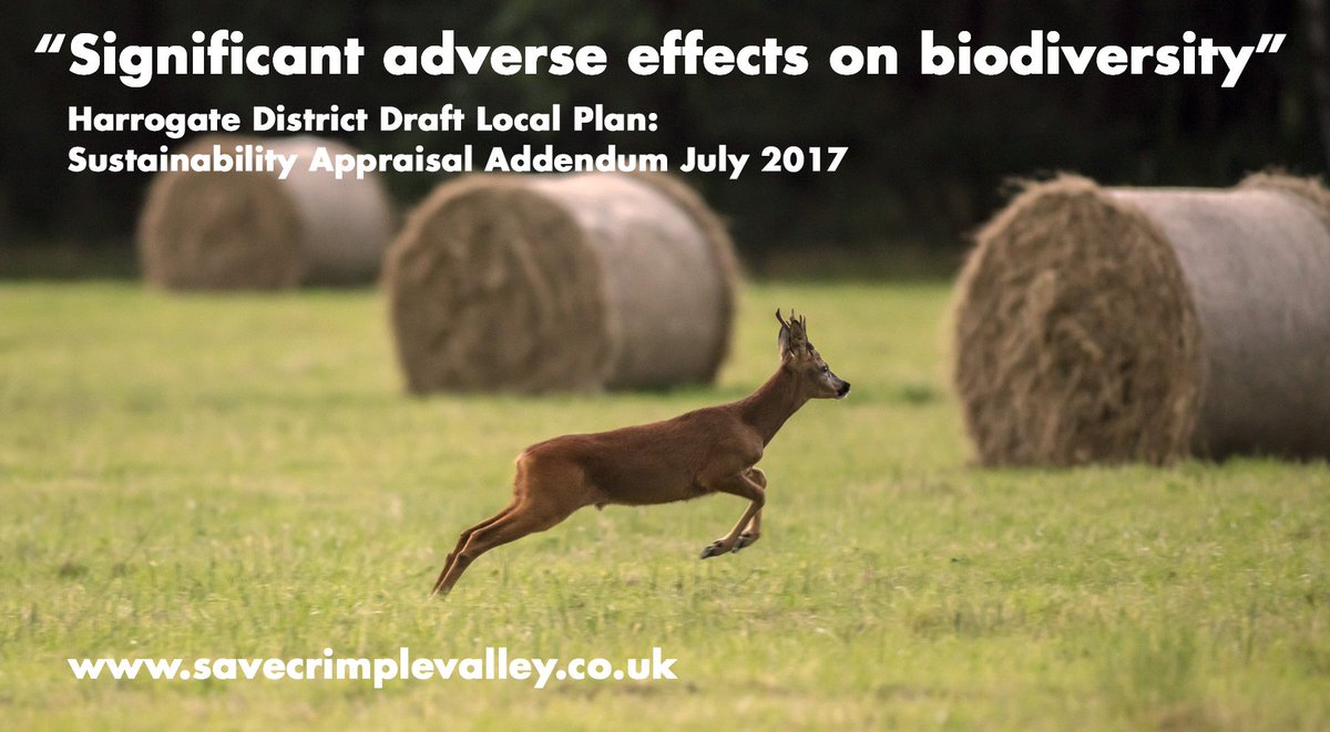 Save_The_Valley's tweet photo. Once this beautiful landscape has gone, the wildlife goes with it. https://t.co/rBdbi6nBcc https://t.co/bbQKq6jeqe