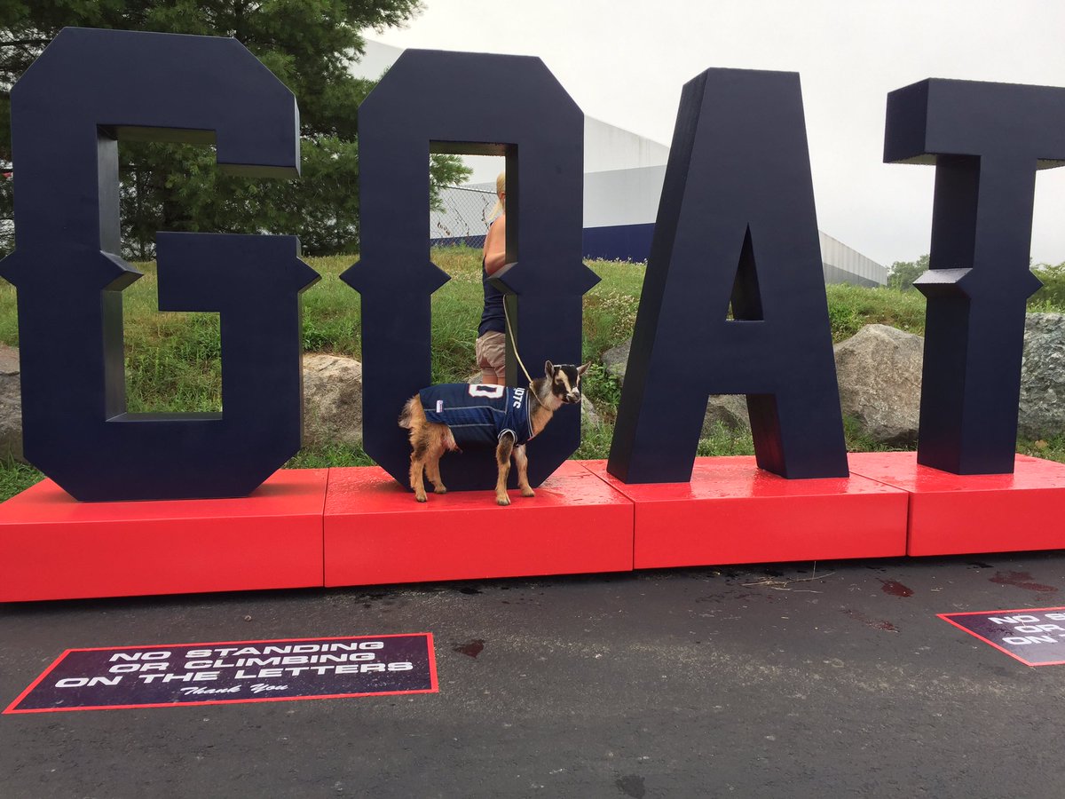 MikeReiss's tweet image. On Tom Brady's 40th birthday, the Patriots are offering fans a G.O.A.T. photo opportunity at training camp (yes, that is a live baby goat).