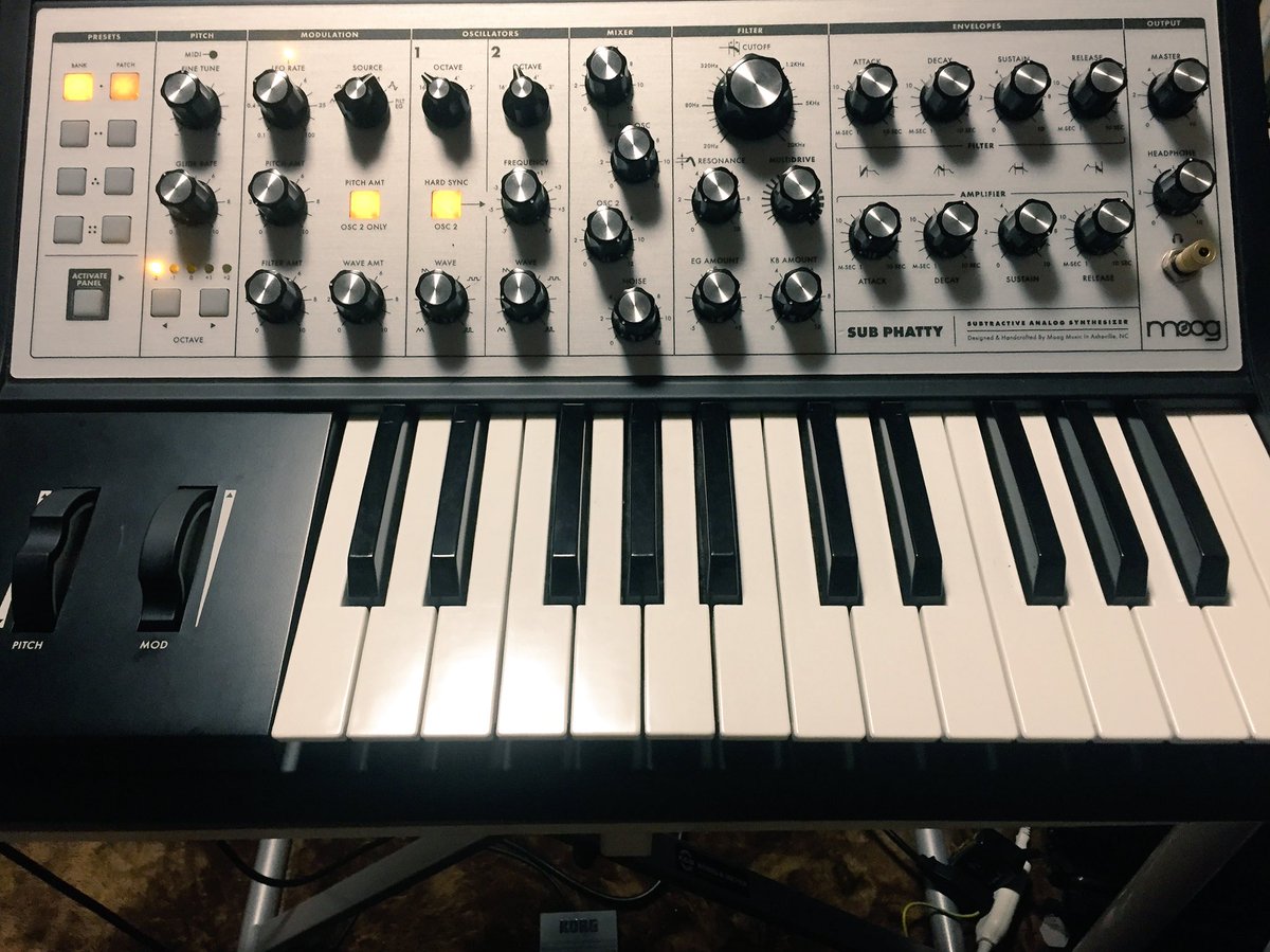 さあさあシンベ初導入ですわ。 moog。かわい。かっけ。
