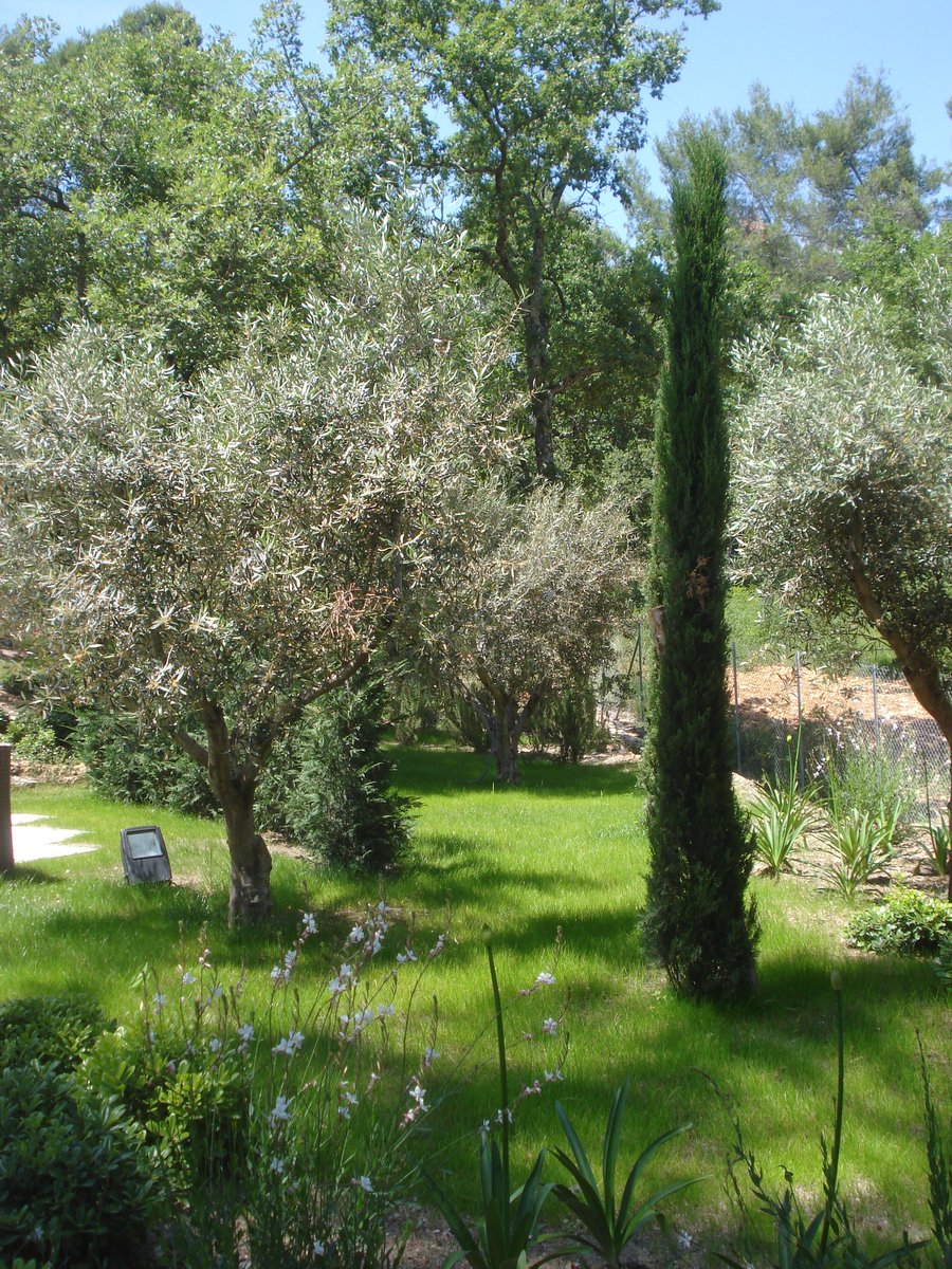 BDematteis06's tweet photo. #jardinprive au coeur du #domainedeterreblanche #arrierepaysvarois #destinationgolfique #landscapedesignet https://t.co/F3jV998Rwc