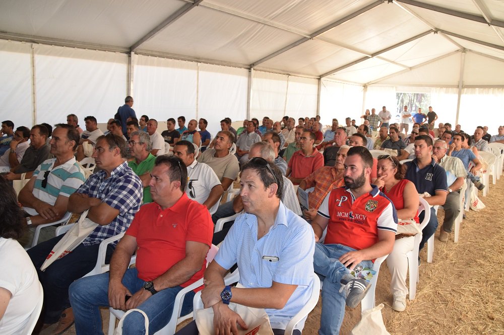 Revistacampo_'s tweet photo. Gran jornada en nuestro #CAMPOensayopatata en #ElCarpio con el arranque de #patata a cargo de la Grimme SV 260, presentada hoy en España!! https://t.co/8vBHcpCzEF