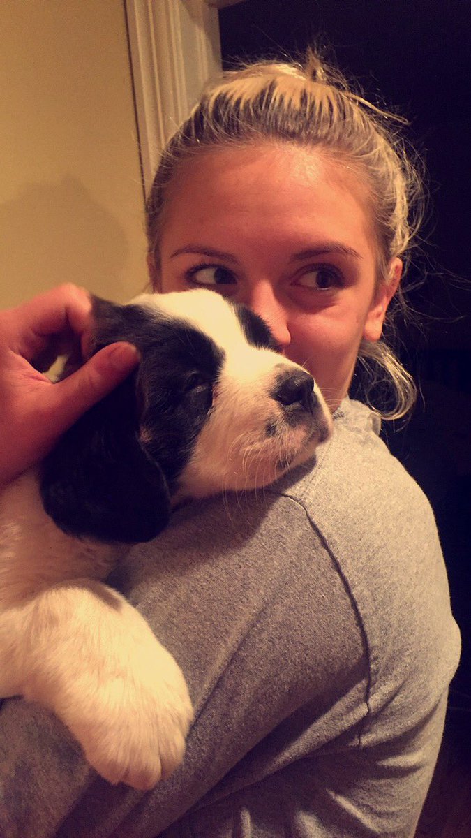 MiaSchofield10's tweet photo. @GirlPosts 🐶 https://t.co/4Y52t0flmZ