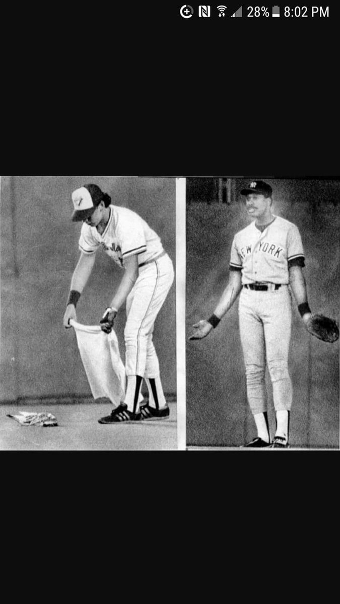 GeorginaReportr's tweet photo. Tomorrow marks the 34th year of the Dave Winfield seagull incident https://t.co/qcYm5PoeVX