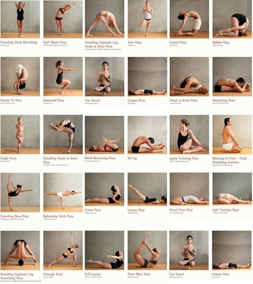 ADevotedYogi's tweet photo. a great collection of #yoga poses.... https://t.co/99A16TqkKW