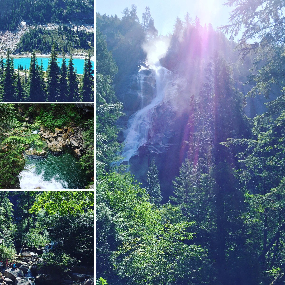 TAMLIFESTYLE's tweet photo. Being in nature has profound health benefits. 

Learn More at https://t.co/OTZq7hXbLf https://t.co/We2FGTdL9G
