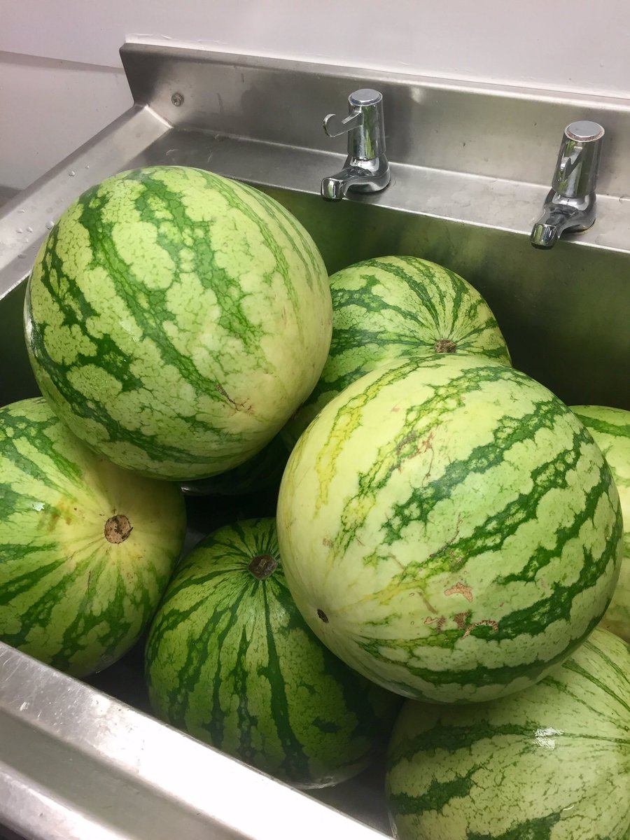 Claire Kelly tweet media