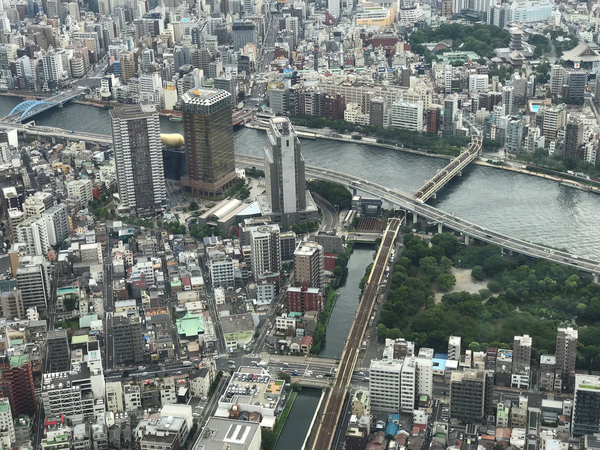 BethDuncan's tweet photo. Day 4 in #Tokyo: adorable cappuccinos, visit to the Sky tower, and a dinner cruise &amp; show. #epic #Japan @panasonic #KWNGlobalSummit #rmmsfam https://t.co/c1XCabCPWl