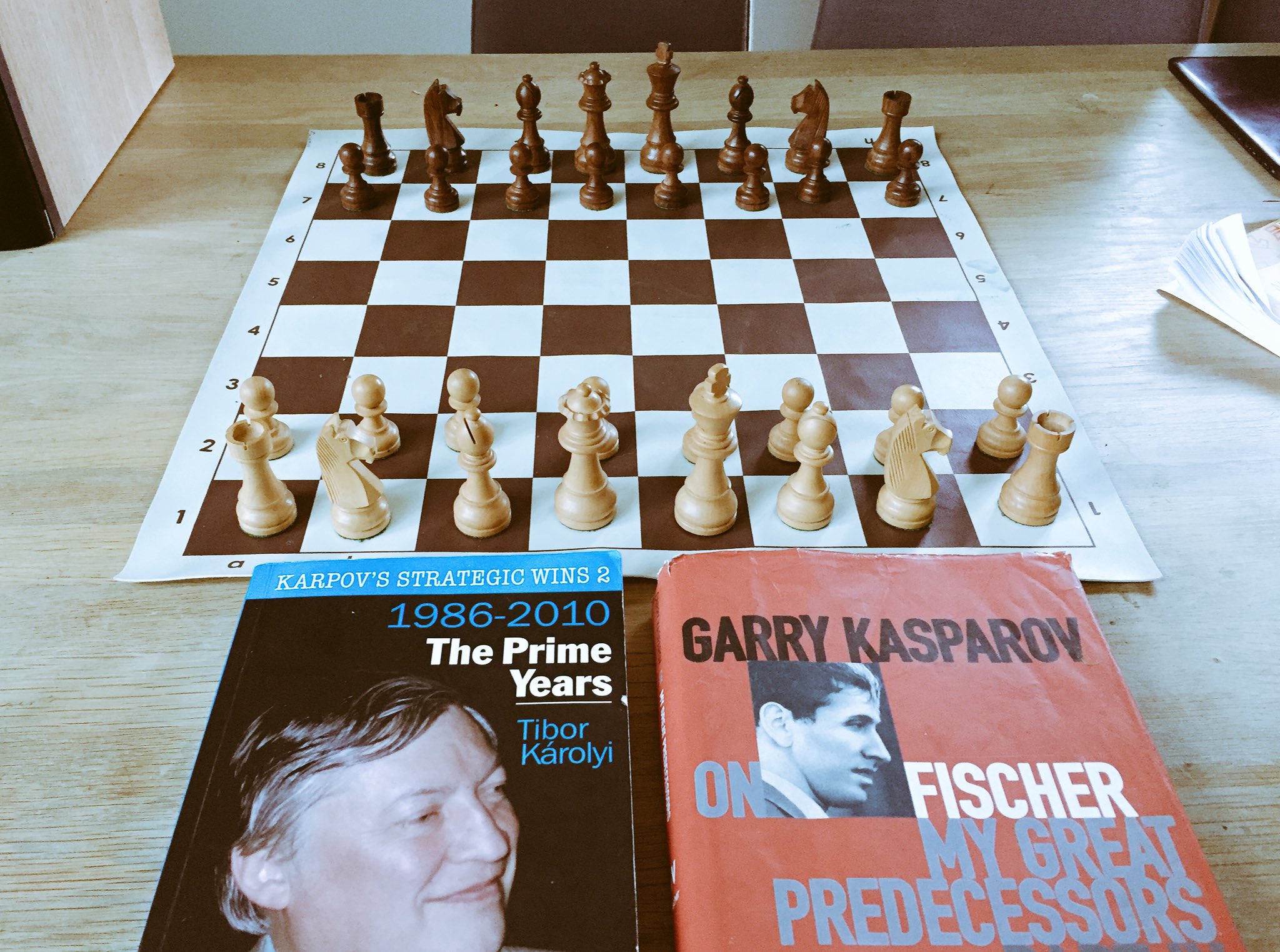 Karpov's strategic wins 1