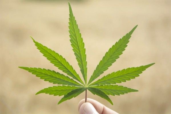 CraftedExtracts's tweet image. Specializing in Vapes, Sublingual Sprays and Salves - Welcome to #CraftedExtracts craftedextracts.co