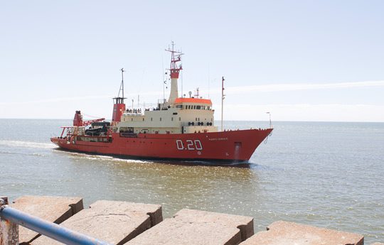 CONICETDoc's tweet photo. Mirá el informe #BancoBurdwood que hicimos para @LigadelaCiencia. Conocé el primer parque oceánico de la Argentina. https://t.co/IwfCjItAUS https://t.co/zPf2Ss7q7L