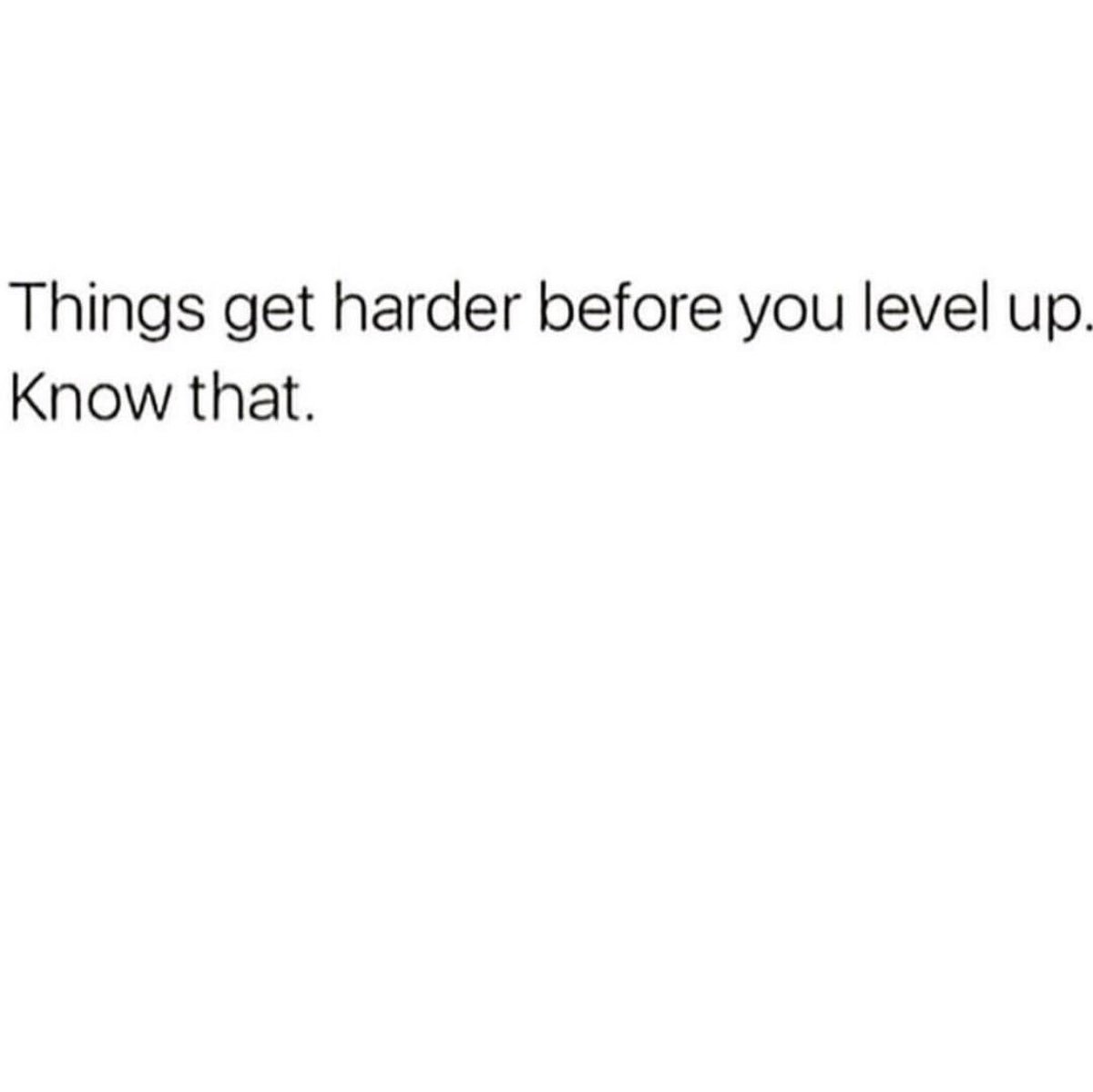 OneDayCo's tweet image. 