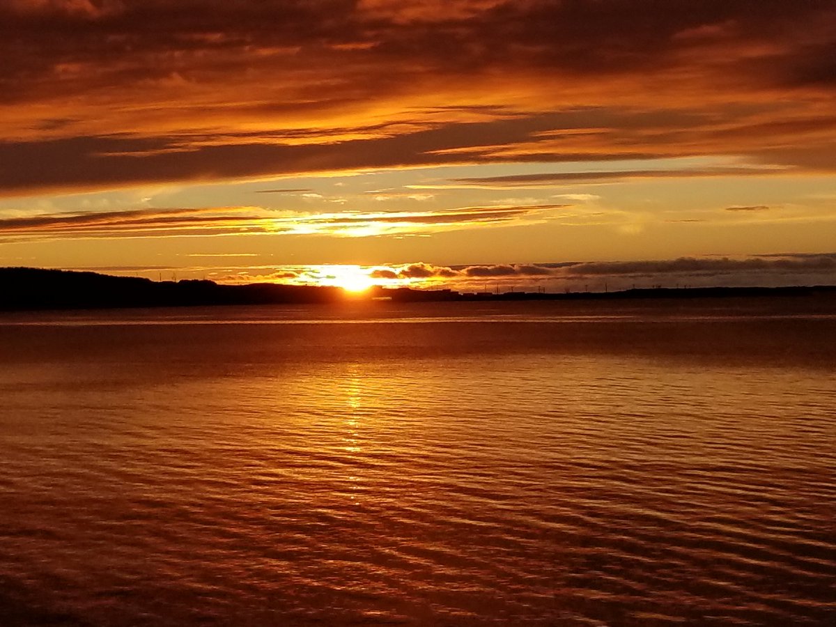 Lynda Essman tweet media