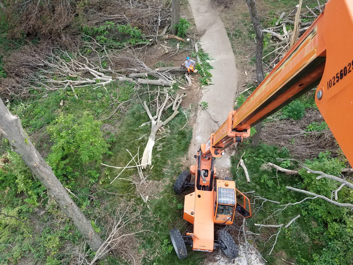 BellevueParks's tweet photo. Making progress on the Daniell Trail https://t.co/uXKpHcDu2B