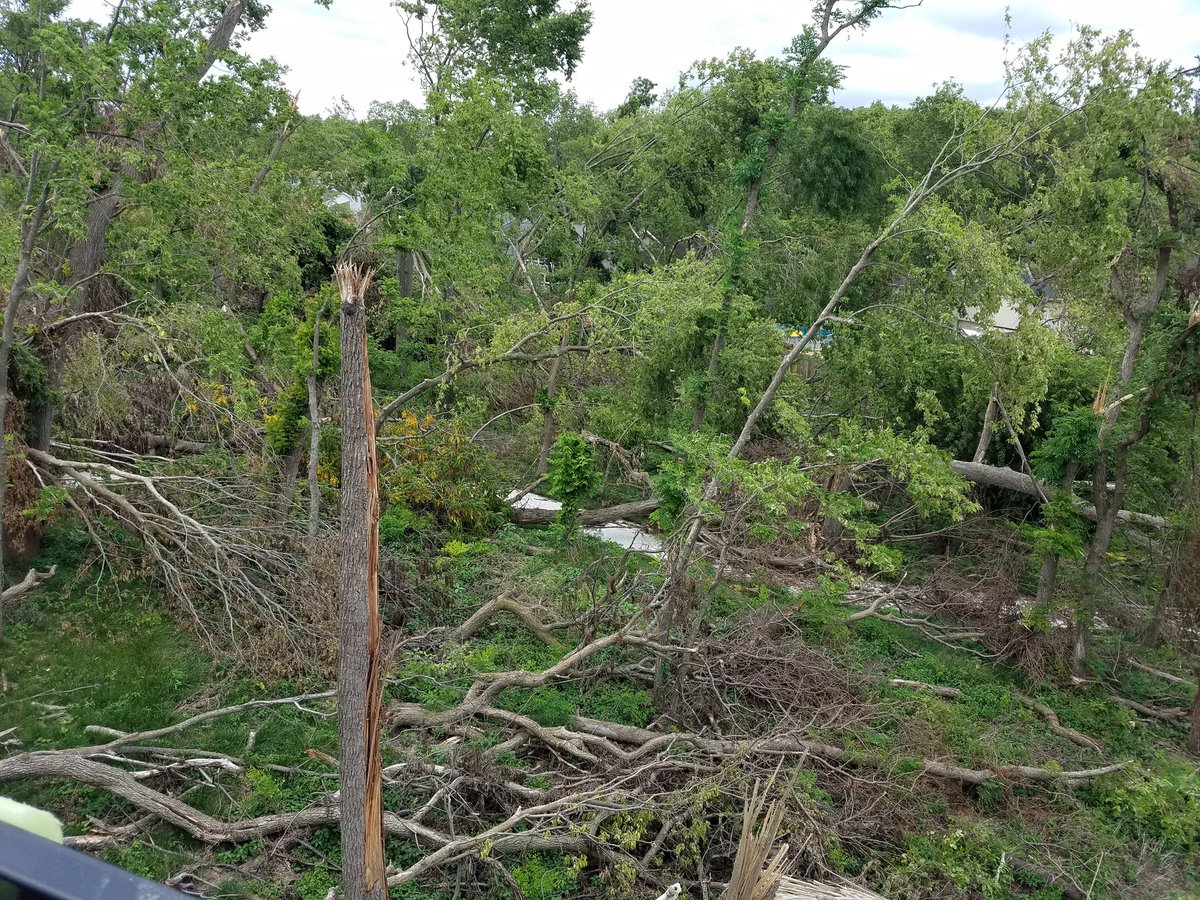 BellevueParks's tweet photo. Making progress on the Daniell Trail https://t.co/uXKpHcDu2B