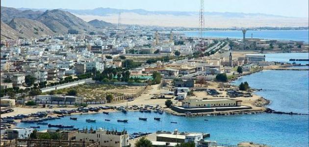 تصوير رائع بالفانتوم للخيول تتراقص شواطي املج