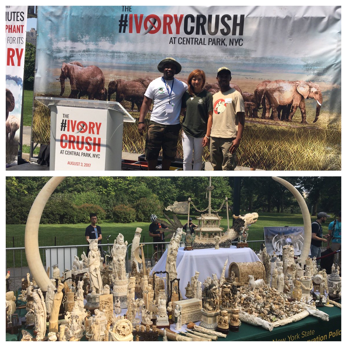 iris4wildlife's tweet photo. Proud to have these wildlife heroes @OKOATemboTz @CongoConserv from #Tanzania #Congo join @HSIGlobal &amp; witness #IvoryCrush #BanIvoryTrade https://t.co/RxbqyTYPTW