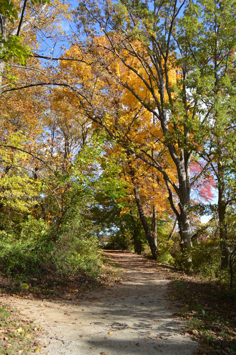 VisitPWC_PR's tweet photo. @Discoverpwm you can travel winding back-roads that lead you to #VAWineries #VABreweries and #Farms! @CharlesMcCool #OneTravelChat https://t.co/6pt3AIKxt0