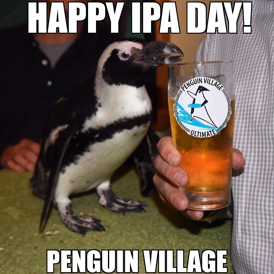 Penguin Village Ulti (@villageulti) on Twitter photo 