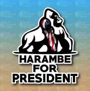 We miss Harambe #Harambe #RIPHarambe #HarambeIsBae #DicksOut