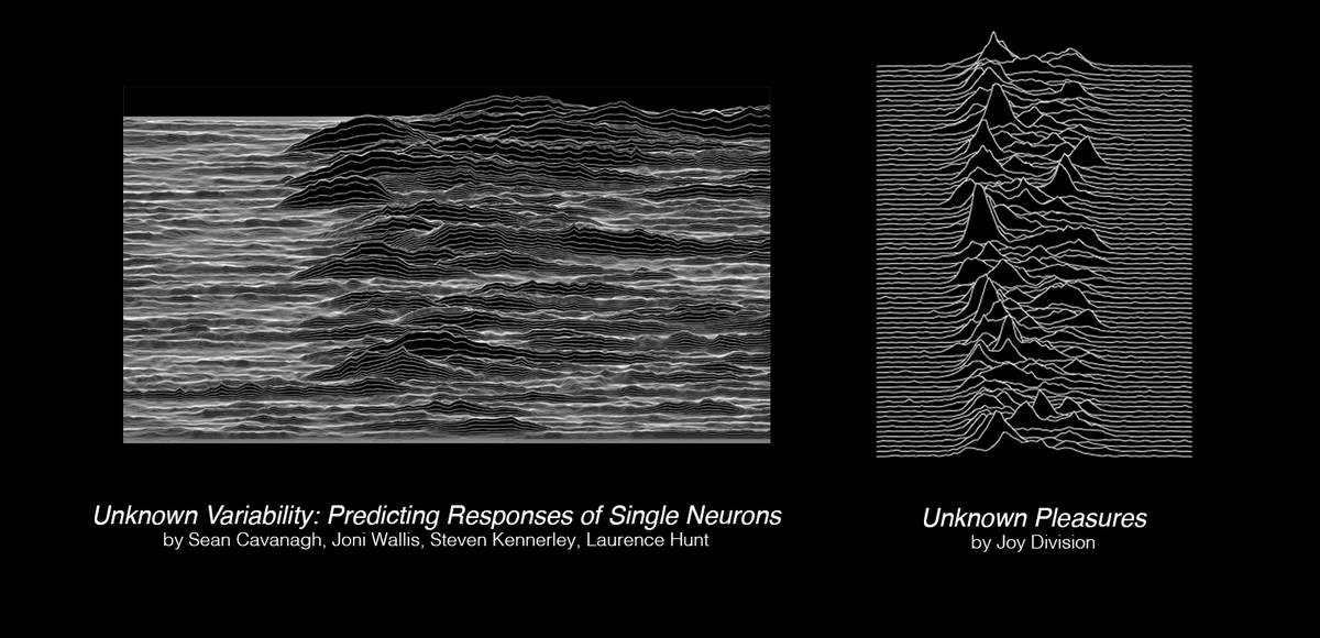 Numenta's tweet photo. Activity patterns of prefrontal cortex neurons' striking resemblance to Joy Division's album art based on radio pulsars from outer space https://t.co/8HOxKAplJe