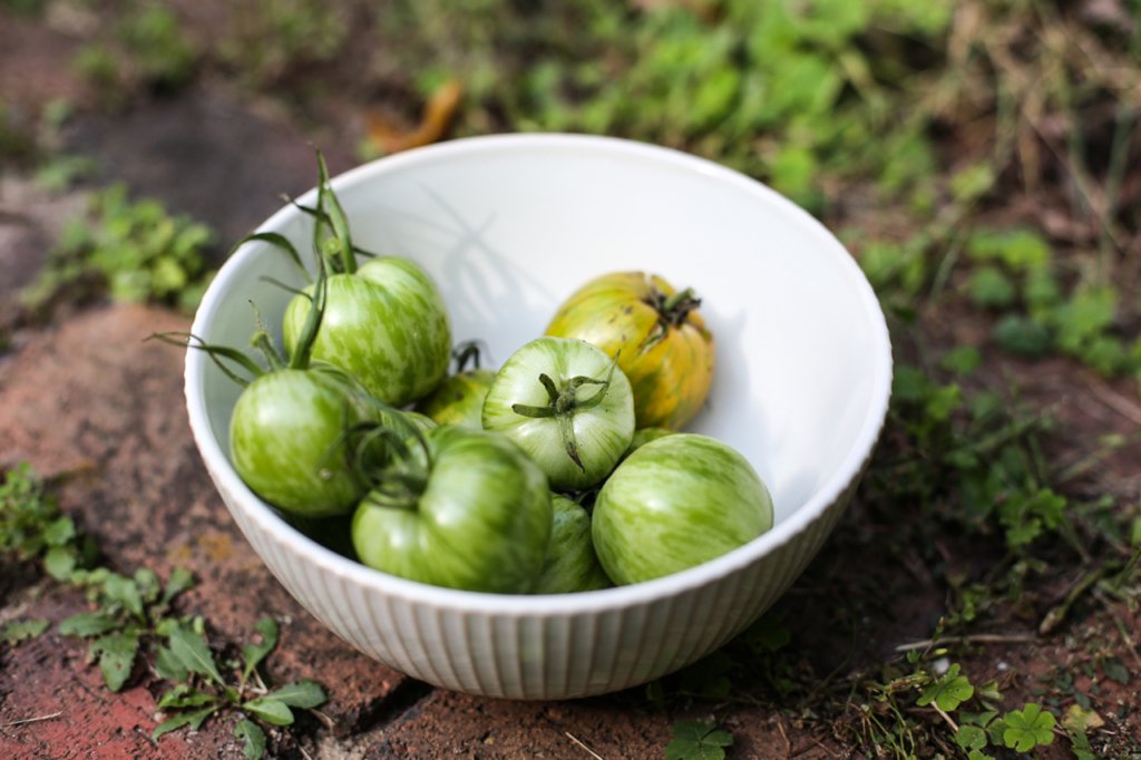 Loads of tomatoes in the garden this year? Ferment them for flavor, preservation, and probiotic benefit with this... yumuniverse.com/easy-fermented…