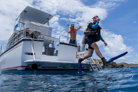 CBWS_VI's tweet image. Making the decision to get SCUBA certified is the hard part, we can take it from there! #scuba #scubadiving buff.ly/2v38ehV