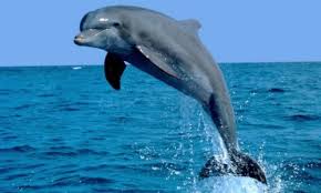 Datosactivo tweet picture