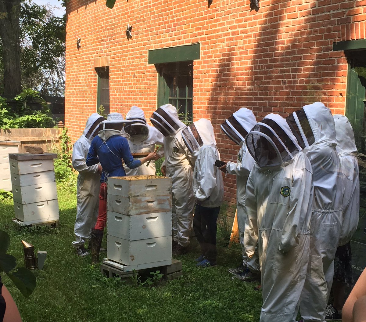 BSDVTCurriculum's tweet photo. Great field trip to Champlain College Apiary with BSD Science Camp. #BSDPD #waggledance @BTVSchools https://t.co/M6m5AA5k85