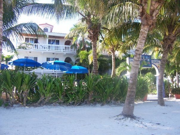 CostaMayaFest's tweet photo. Thank you Blue Tang Inn for being a proud sponsor of the Costa Maya Festival! #costamayafestival #belize https://t.co/hZkapavoYd