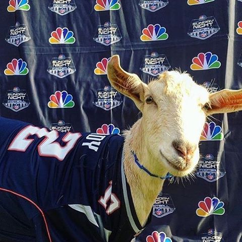 Cameron_Mullen's tweet photo. Happy Birthday Tom Brady. #GOAT https://t.co/7mVInMaDKm