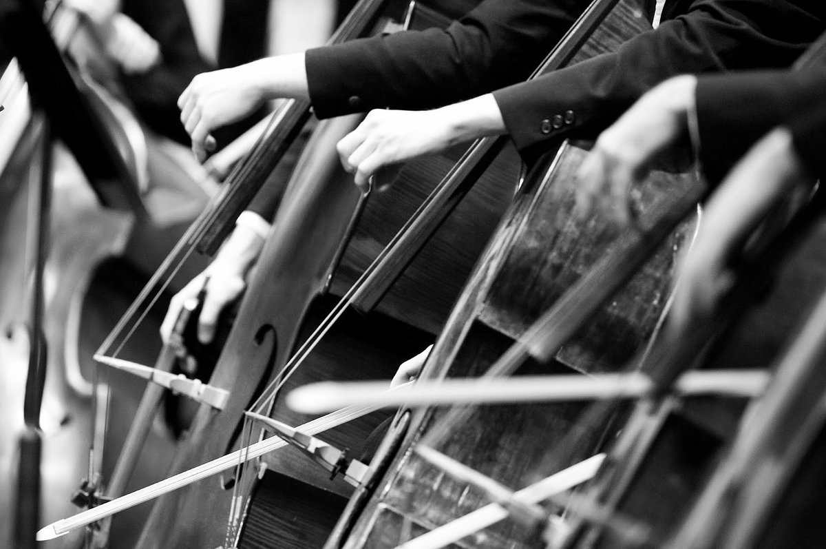 CHShymphony's tweet photo. Many times these damages are needed in the day to day to have inspiration to compose ... it helps that the soul writes with the heart.🎺🎼🎻 https://t.co/eMiZlclGJF