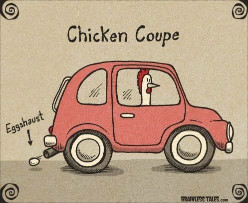 becajun's tweet image. #Bocabulary #chickenhumor #ItsBoTime #MyBolife