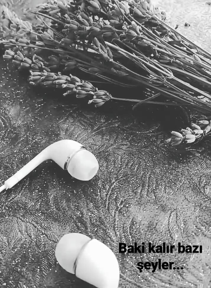 Baki kalır bazı şeyler...