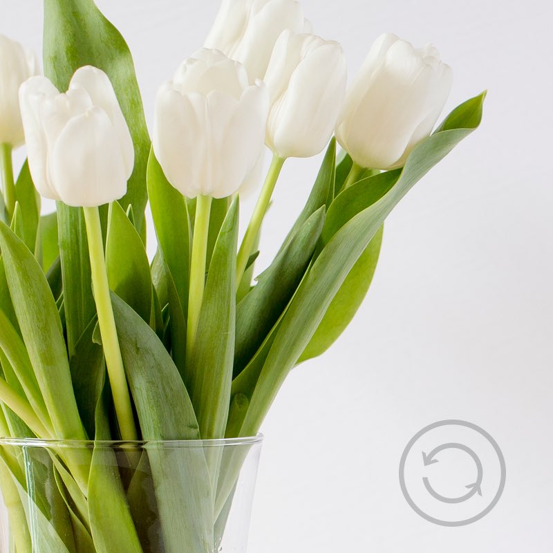 dlrevamp's tweet photo. Take a moment to stop and smell the flowers. Also, take care of your body too. You deserve it! #DLrevAMP #detox #cleanse https://t.co/iSpgEjxmFE