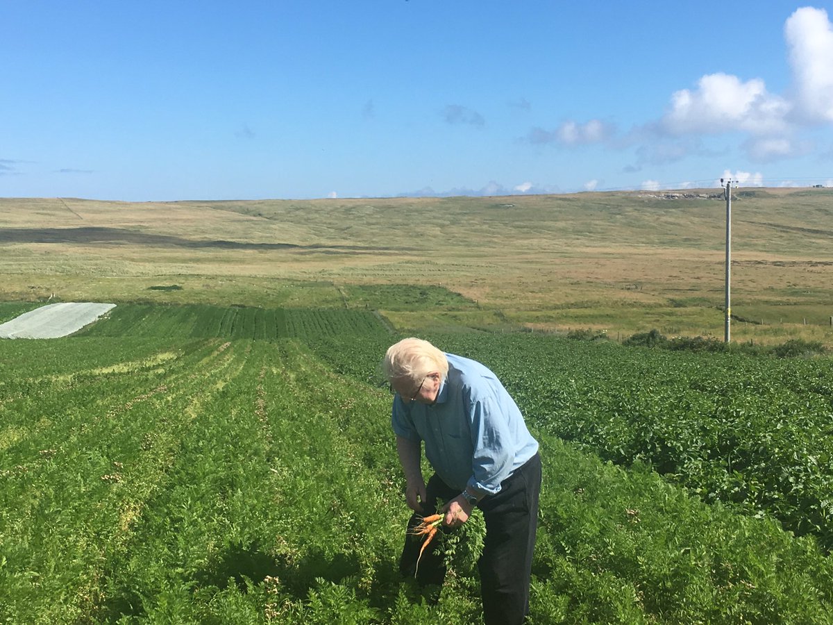 Brake_Farm's tweet photo. Fine to get my grandad out a run checking the crops. Carrots are fairly coming on and the Orla tatties aren't far away now. https://t.co/8WYpy3sfRm