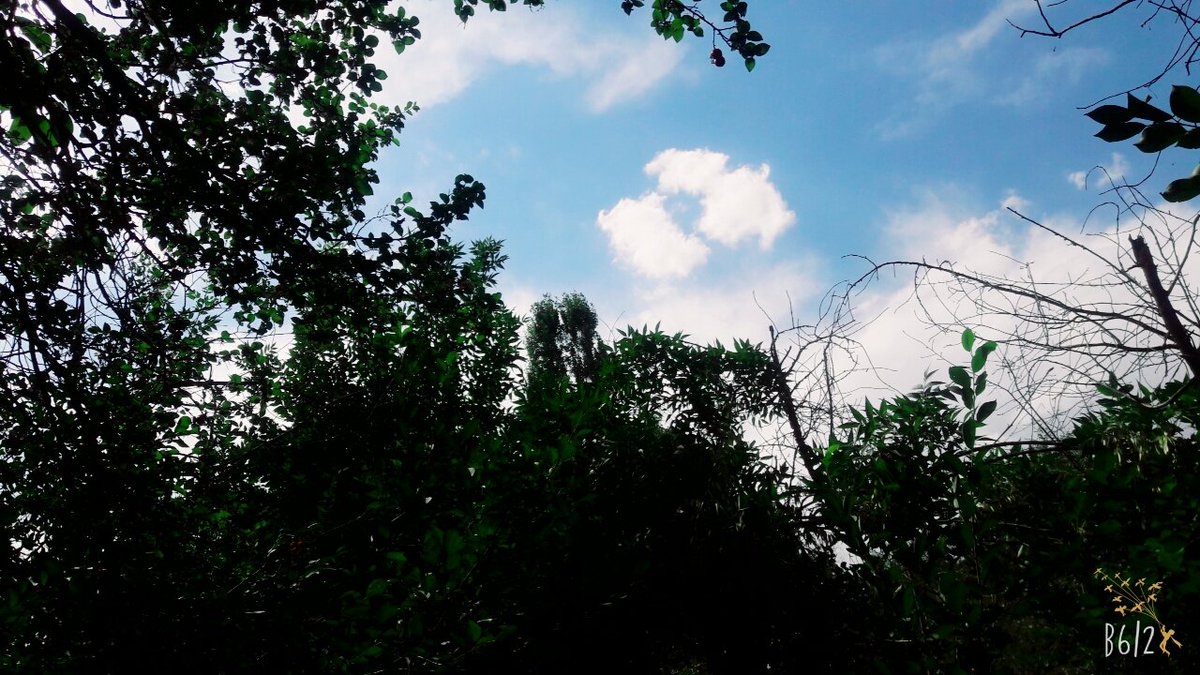 yaserrahimi66's tweet photo. #ایران
#خراسان رضوی
#مشهد
#شاندیز
#ابرده https://t.co/Oy4Uep8uCR