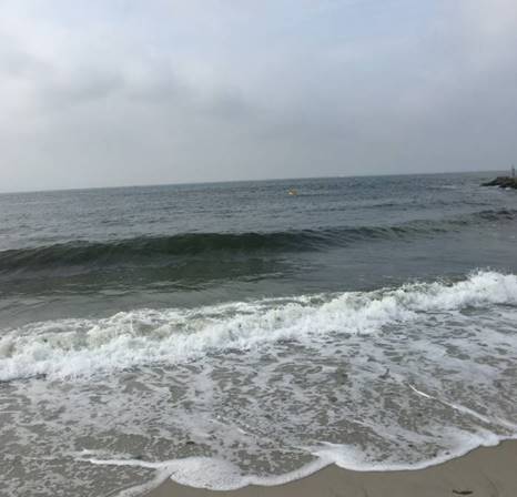 seafloorsystems's tweet photo. Our chief Hydrographer gives live demos on a beach with our #EchoBoat https://t.co/GZDvLr2oVW