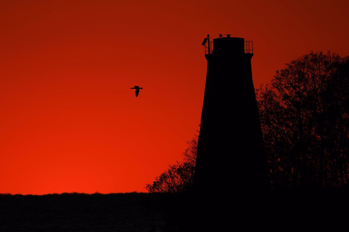 FriendsofOttawa's tweet image. Join us on the West Sister Island Sunset Cruise, Friday August 18 on the @JetExp 
friendsofottawanwr.org/store/p63/WSIt… 

Photo: Dave Lewis
