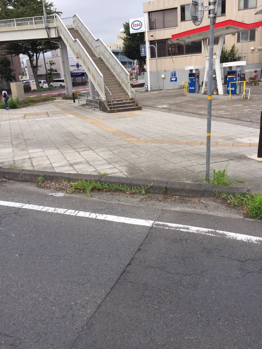 ぱっと見じゃわからない？真ん中の草をよく見ると夏を感じるｗｗｗ