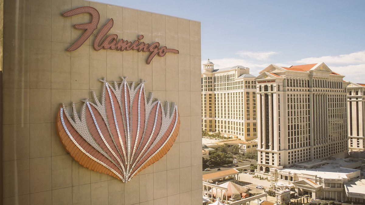 FlamingoVegas's tweet photo. RT if you want this view. 💕🌴 

#FlamingoVegas #Vegas https://t.co/9WomG3vPeN