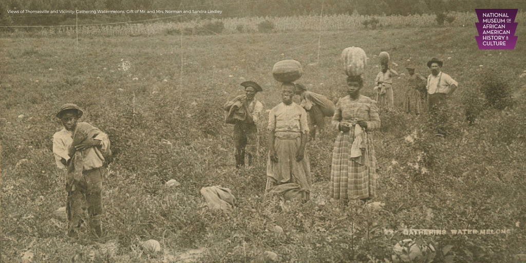 Before it became a racist stereotype in the Jim Crow era, watermelon once symbolized black self-sufficiency. #NationalWatermelonDay