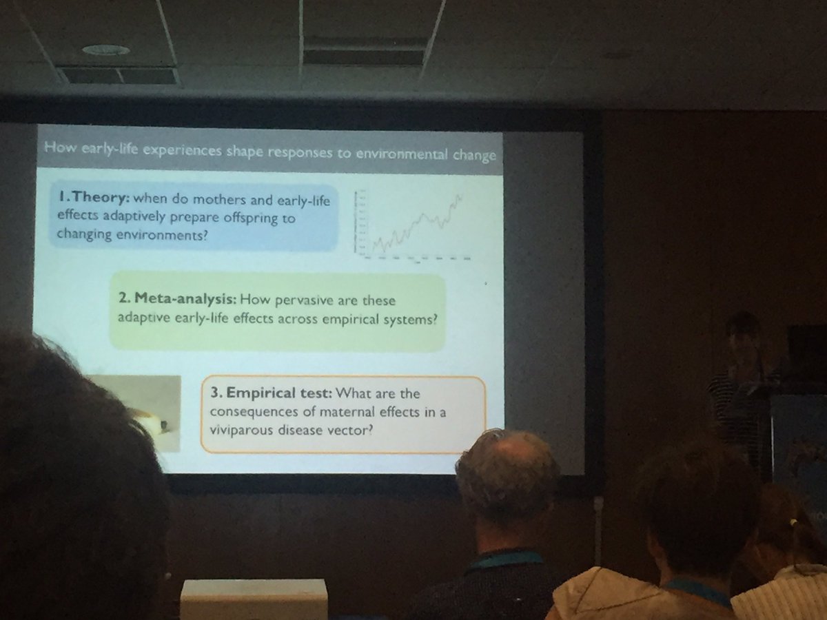 Outstanding talk by @englishse on maternal effects at #behaviour2017!