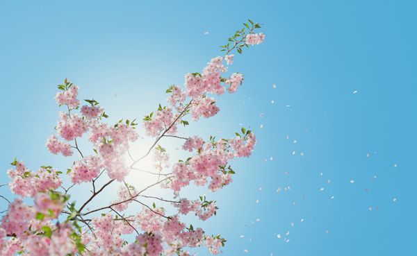 How to Live a Happier Life: 3 Quick Things You Can Do Today buff.ly/2tV2WG6 #happy #loveyourlife