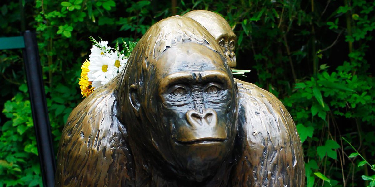 We will never forgive #Harambe #RIPHarambe #HarambeIsBae #DicksOut