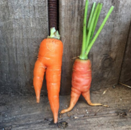 Food_Face_Bot's tweet photo. Quick! Act natural. #uptonogood https://t.co/pXiNjdEAni