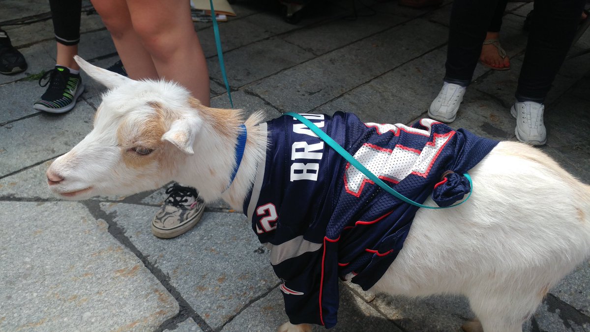 Happy birthday #GOAT #TB12!