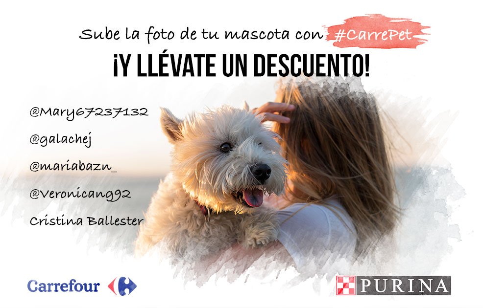 CarrefourES's tweet photo. ¡Ya tenemos a los 5 primeros ganadores de #Carrepet, enhorabuena a todos! Contactamos por DM y correo. Gracias por participar. @purina_es https://t.co/luPDBIZnAg