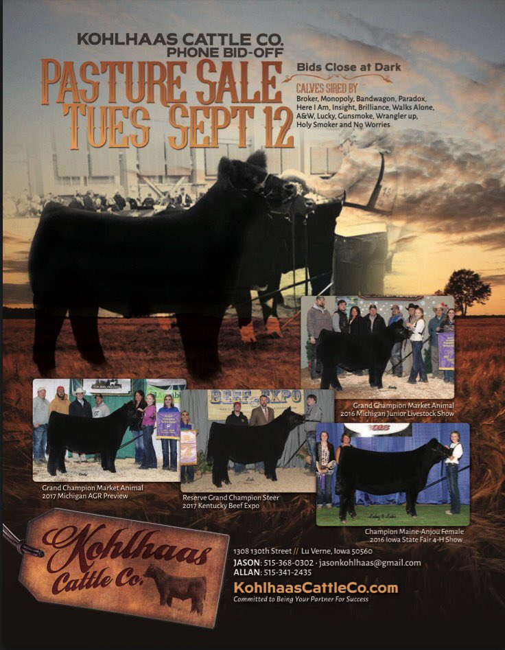 Kohlhaascattle's tweet photo. Check out our sale ad! This will be our 3rd year and deepest set. Cattle viewing anytime after August 18! https://t.co/eaRqnLzyLq